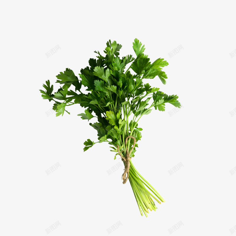 绿色香菜png免抠素材_88icon https://88icon.com 叶子 纹理 绿色 美食 蔬菜 调味 质感 食物 香菜
