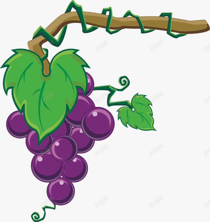 葡萄架上的葡萄png免抠素材_88icon https://88icon.com 水果 维生素 营养 葡萄 葡萄架