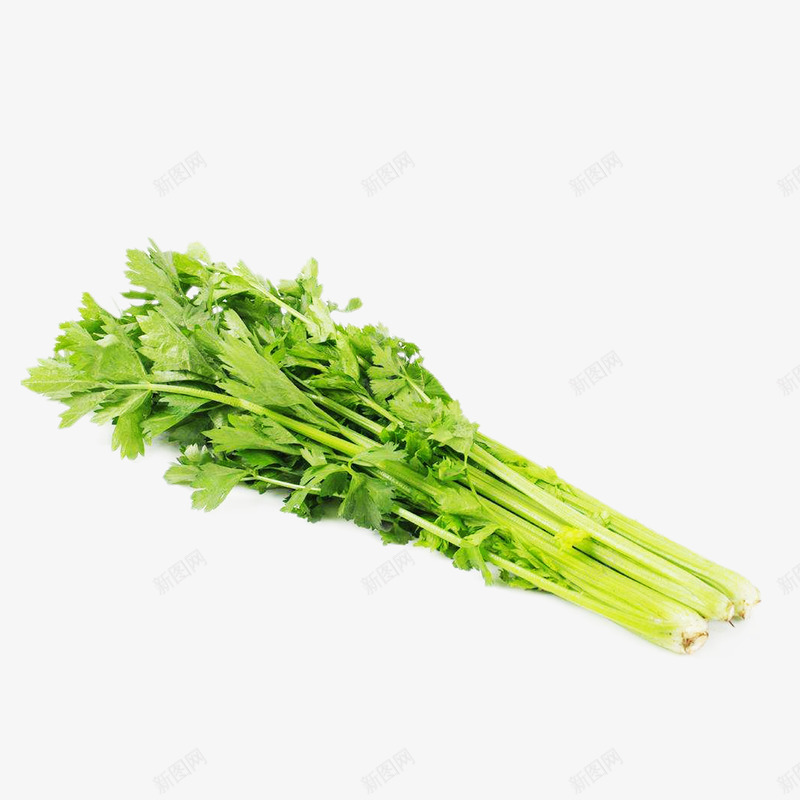 一把芹菜png免抠素材_88icon https://88icon.com 植物 芹菜 菜 蔬菜