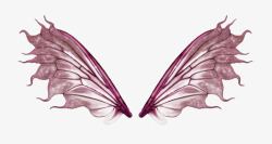 粉色的半透明翅膀素材