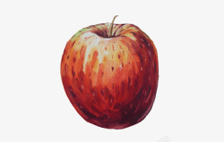 水果红苹果素材