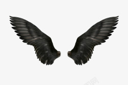 黑色羽翼翅膀素材