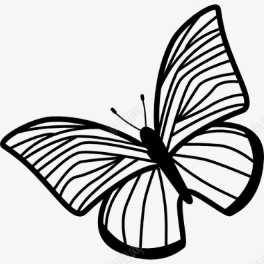 素描动物蝴蝶的翅膀薄条纹旋转到左图标图标