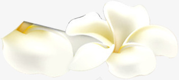 双十二狂欢店铺主页装修png免抠素材_88icon https://88icon.com 主页 双十二 店铺 狂欢 装修