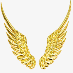 金色鸟素材金色鸟翅膀高清图片