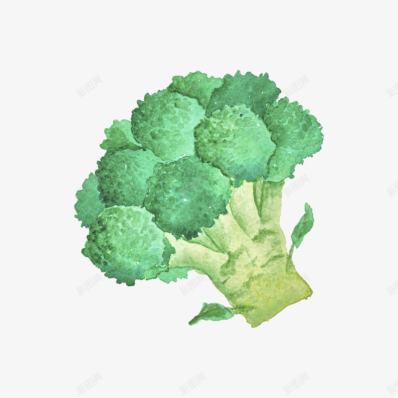 手绘西蓝花png免抠素材_88icon https://88icon.com 矢量装饰 蔬菜 装饰 装饰画 西蓝花