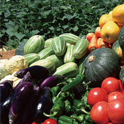 蔬菜水果一堆农产品素材
