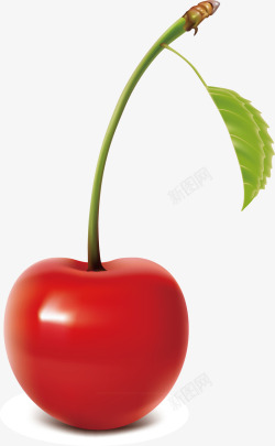 樱桃装饰矢量图素材