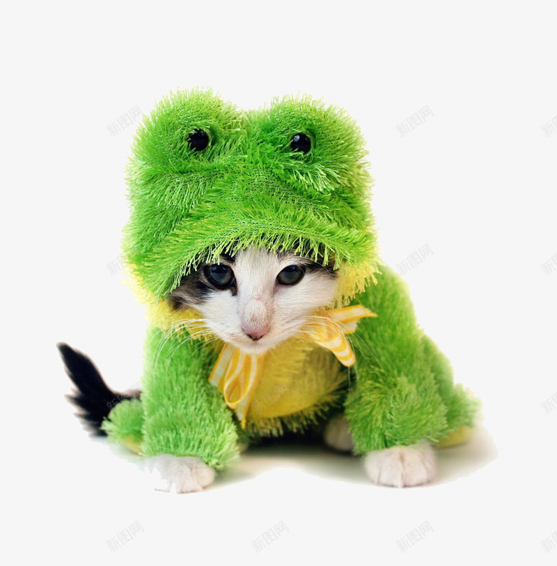 猫穿青蛙服png免抠素材_88icon https://88icon.com 猫 绿色 衣服 青蛙