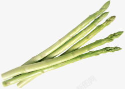 蔬菜竹笋素材