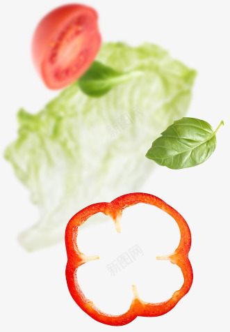 蔬菜瓜果青椒西红柿png免抠素材_88icon https://88icon.com 瓜果 蔬菜 西红柿 青椒