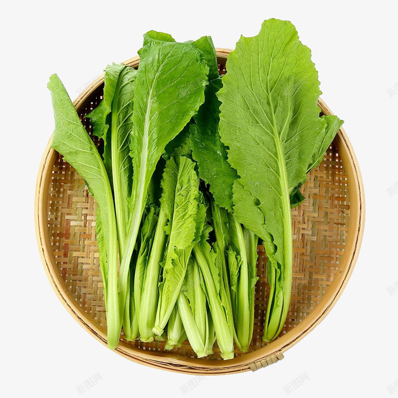蔬菜png免抠素材_88icon https://88icon.com 产品实物 小白菜 有机蔬菜 白菜 绿叶 绿色蔬菜 菜类图片