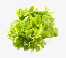 绿色生菜蔬菜素材