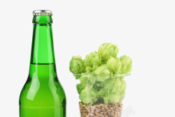绿色果状植物啤酒酒花酒瓶实物素材