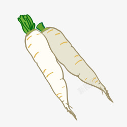 处暑蔬菜卡通白萝卜矢量图高清图片