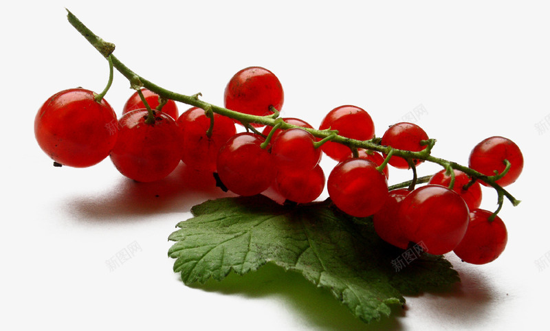 栗红樱桃png免抠素材_88icon https://88icon.com 叶子 夏天水果 夏季 新鲜 红色