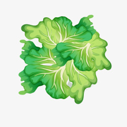 绿色卡通蔬菜生菜矢量图素材