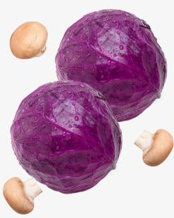 紫包菜蘑菇实物素材