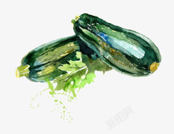 绿色水彩手绘蔬菜西葫芦矢量图素材