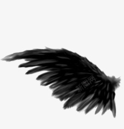简约设计感黑色翅膀高清图片