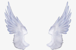 白色美丽翅膀素材