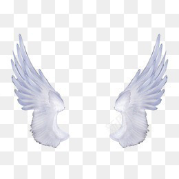 翅膀png免抠素材_88icon https://88icon.com 白色翅膀 金属翅膀 银色翅膀