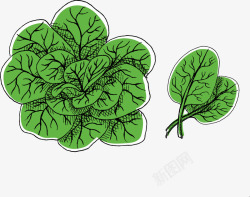 卡通手绘蔬菜叶子野菜素材