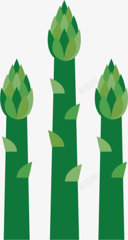 绿色竹笋蔬菜素材