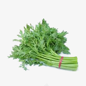 绿色蔬菜png免抠素材_88icon https://88icon.com 新鲜 绿色 茼蒿 蔬菜