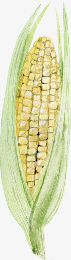 卡通手绘蔬菜装饰海报玉米素材