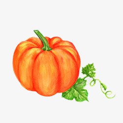 手绘黄南瓜素材