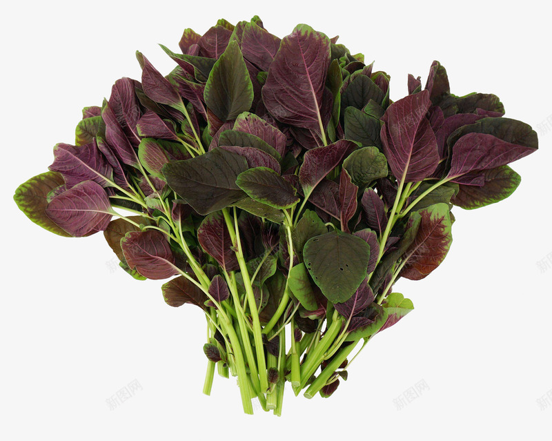 紫色蔬菜png免抠素材_88icon https://88icon.com 生菜 苋菜 菜叶 野生菜 食材