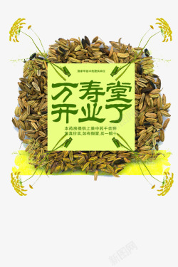 新店开业了素材