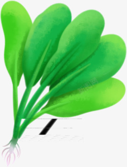 手绘绿色植物青菜素材