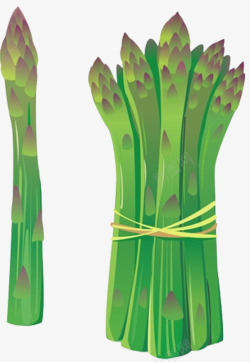 卡通手绘绿色蔬菜芦笋素材