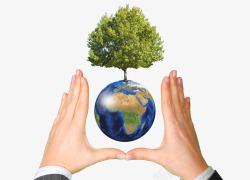 手与地球之间的树素材