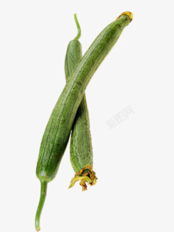 新鲜的蔬菜素材