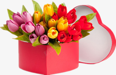 心形盒子里的郁金香png免抠素材_88icon https://88icon.com 三色郁金香 心形盒子 红色礼品盒 绿色叶子