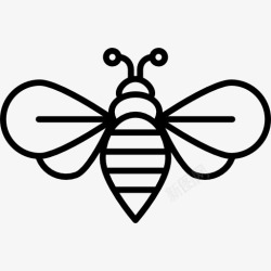 天线蜜蜂图标高清图片