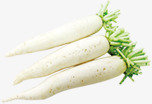 白萝卜蔬菜卡通造型素材