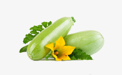 新鲜西葫芦免抠PNG实物新鲜蔬菜西葫芦高清图片