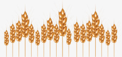 一片黄手绘粮食小麦地高清图片