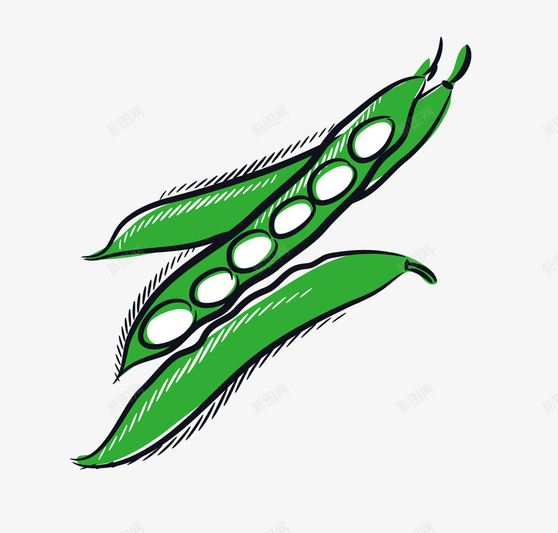 手绘四季豆png免抠素材_88icon https://88icon.com 卡通 四季豆 手绘 绘画 绿色 蔬菜 食物