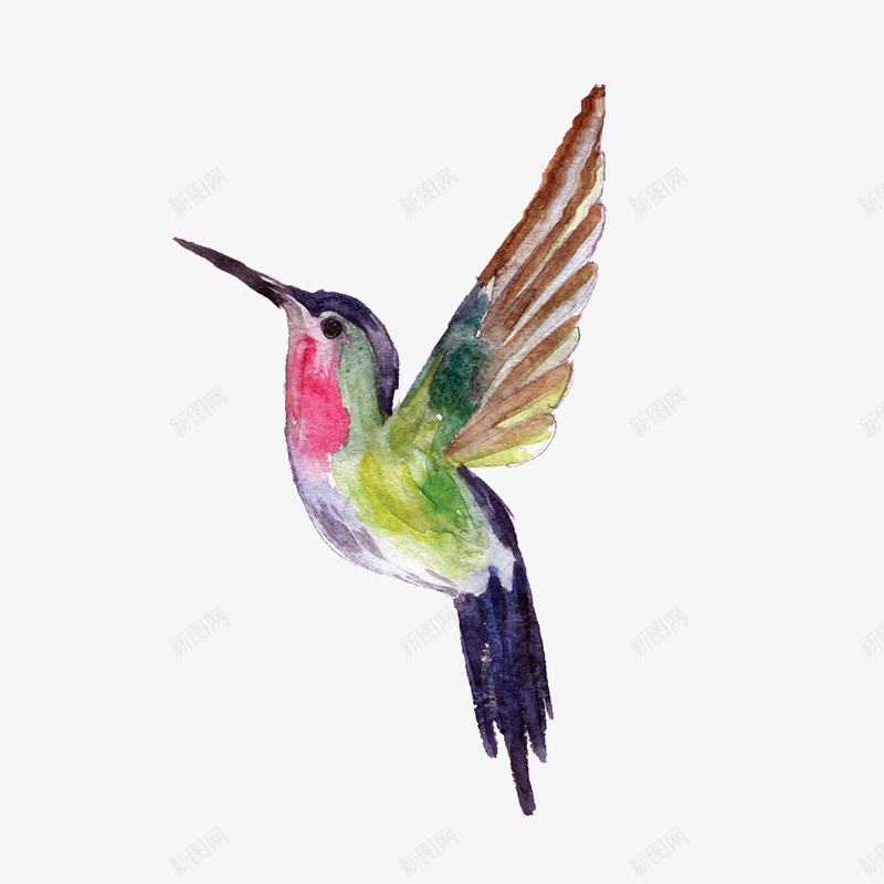 手绘翠鸟png免抠素材_88icon https://88icon.com 卡通 手绘 水彩 翅膀 翠鸟