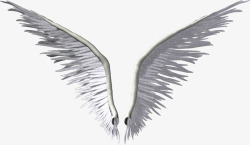 天使翅膀素材
