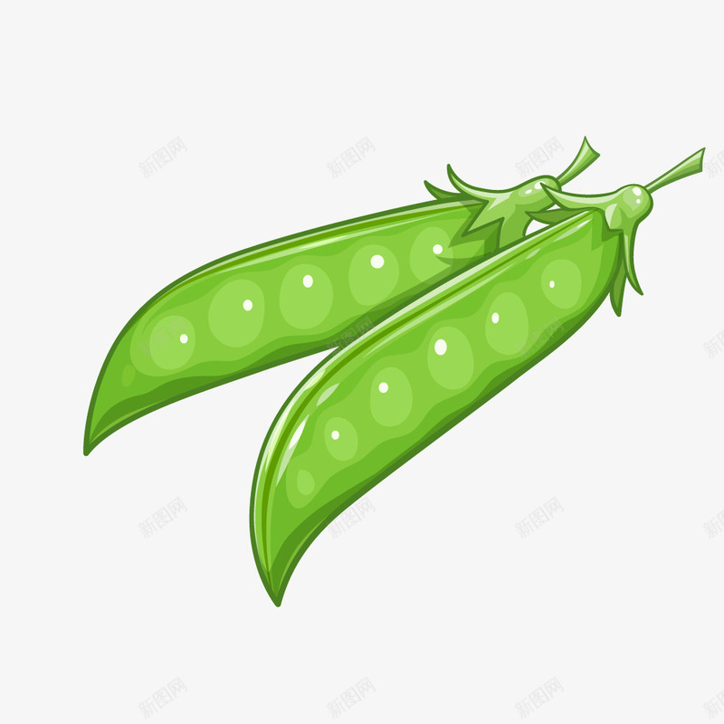 绿色植物蔬菜四季豆矢量图ai免抠素材_88icon https://88icon.com 四季豆 植物 绿色 绿色植物 蔬菜 矢量图