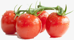 素食菜小番茄高清图片