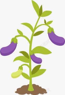 紫色卡通茄子素材