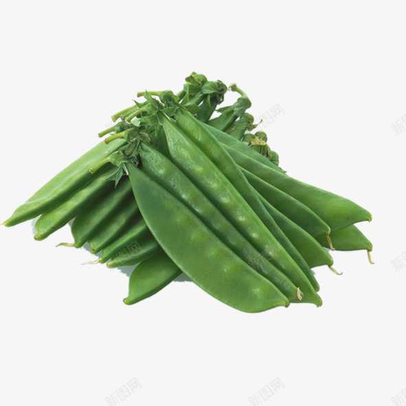 蔬菜豆角png免抠素材_88icon https://88icon.com 蔬菜 豆角