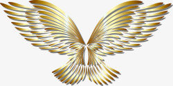 美丽金色的翅膀插图素材
